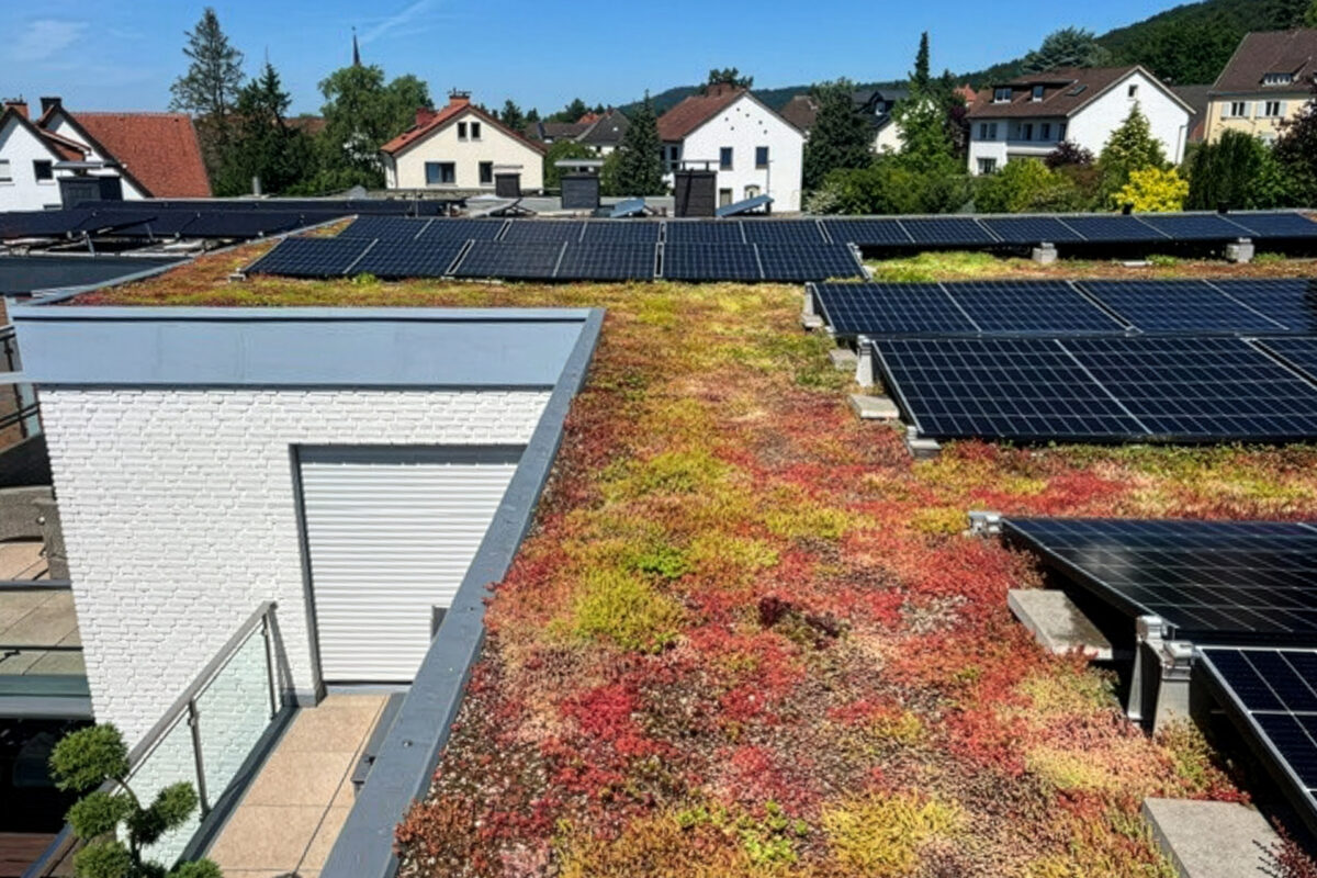Dachbegrünung mit Photovoltaik