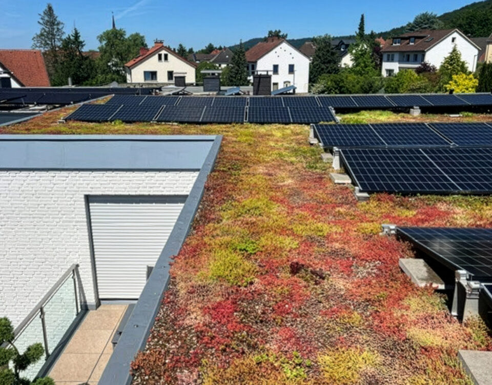 Dachbegrünung mit Photovoltaik
